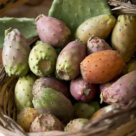 מלון Park Sant'elia 3*