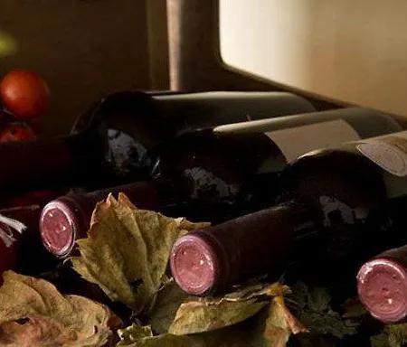Hotel Park Sant'elia 3*